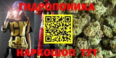 прущие крисы Конаково